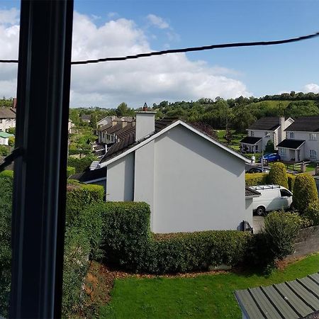 Farnham House Bed and Breakfast Cavan Buitenkant foto